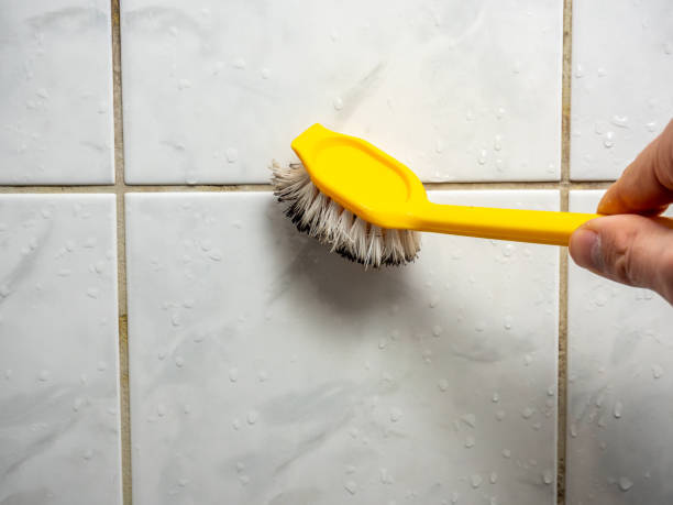 Best Office Mold Removal Services  in Halstead, KS