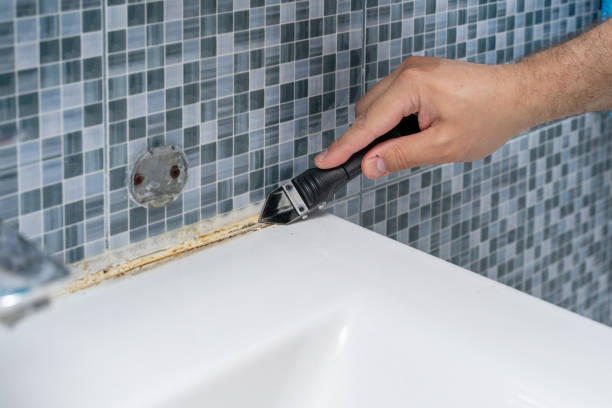 Best Fast Mold Removal  in Halstead, KS