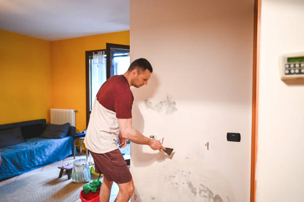 Best Local Mold Removal Service  in Halstead, KS
